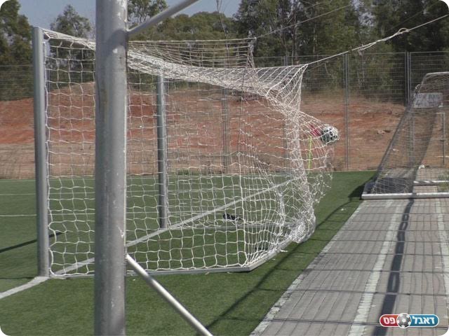 הכדור ברשת (שקד מורג)